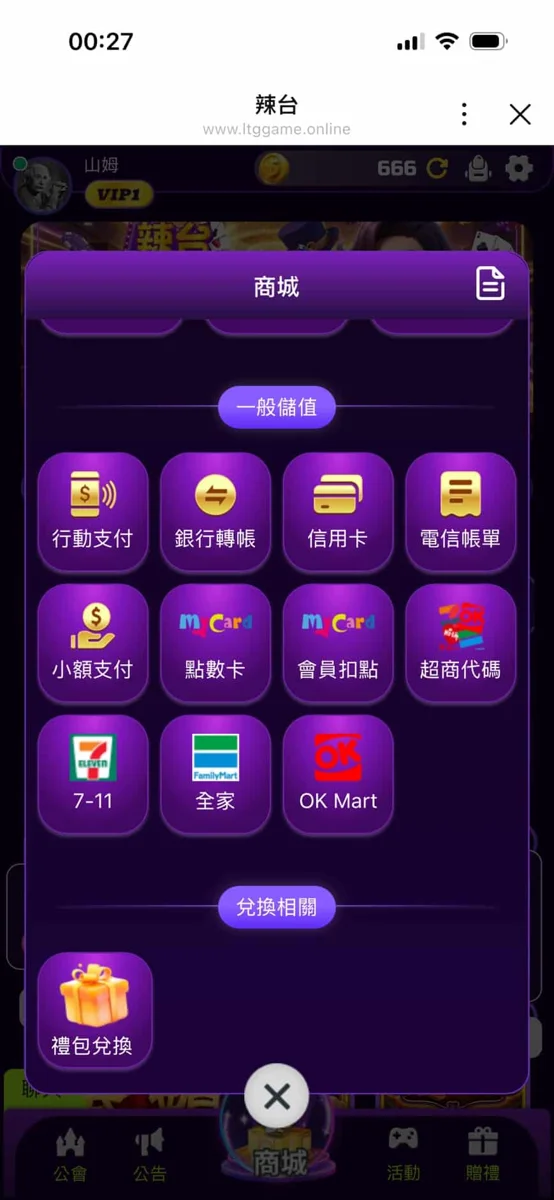辣台娛樂城|付款選項